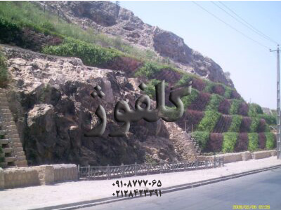 فلاورباکس بتنی گلفوژ