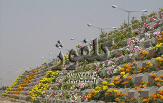 گلدان بتنی گلفوژ