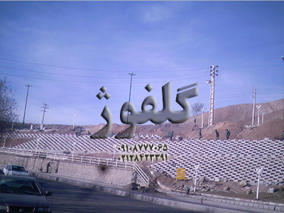 گلفوژ