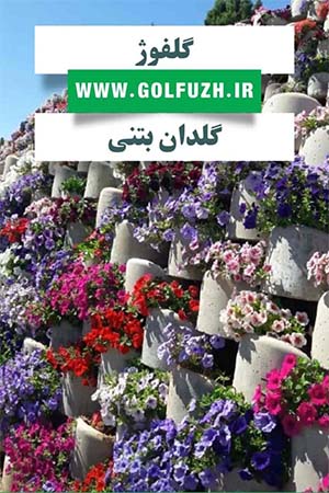 فلاورباکس بتنی گلفوژ